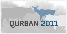 Qurban 2011