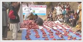 Qurban_Project Qurban Project 2009