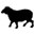Qurban Project
