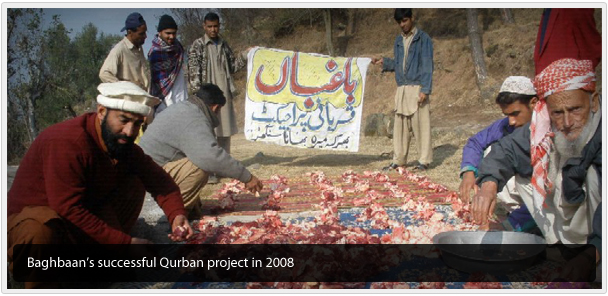 Qurban  2008